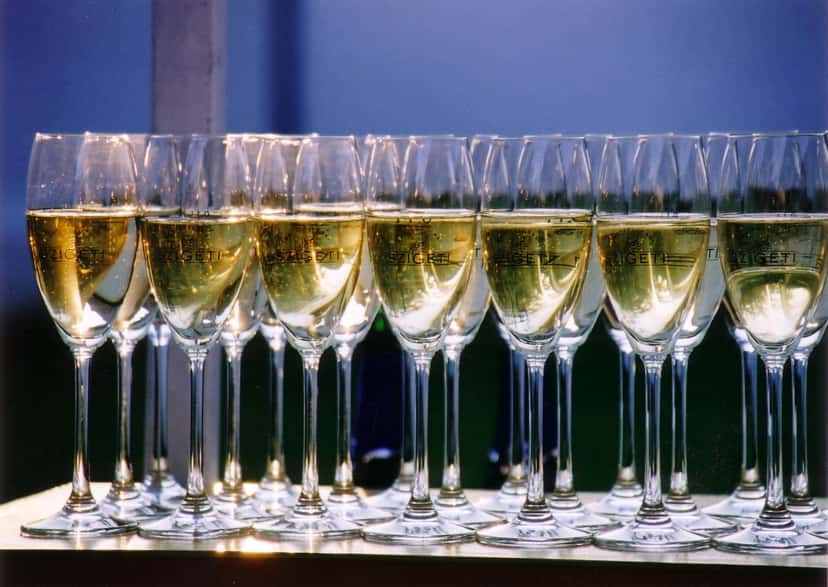 Sparkling Secrets of Burgenland Cellar Tour