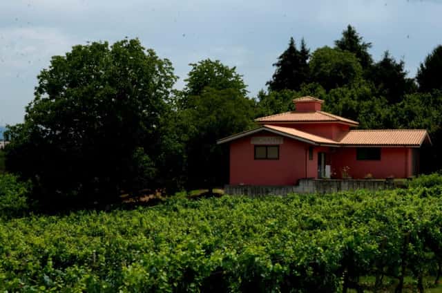 Azienda Agricola Migrante