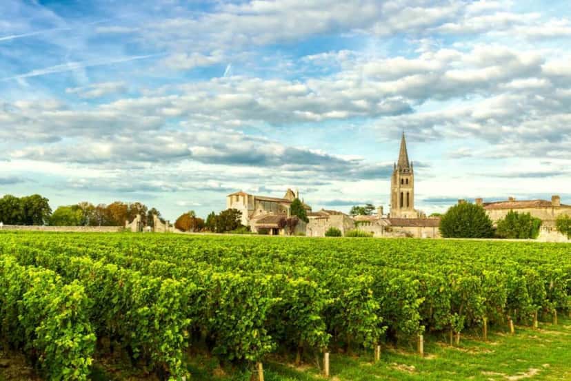 Saint-Émilion appellation