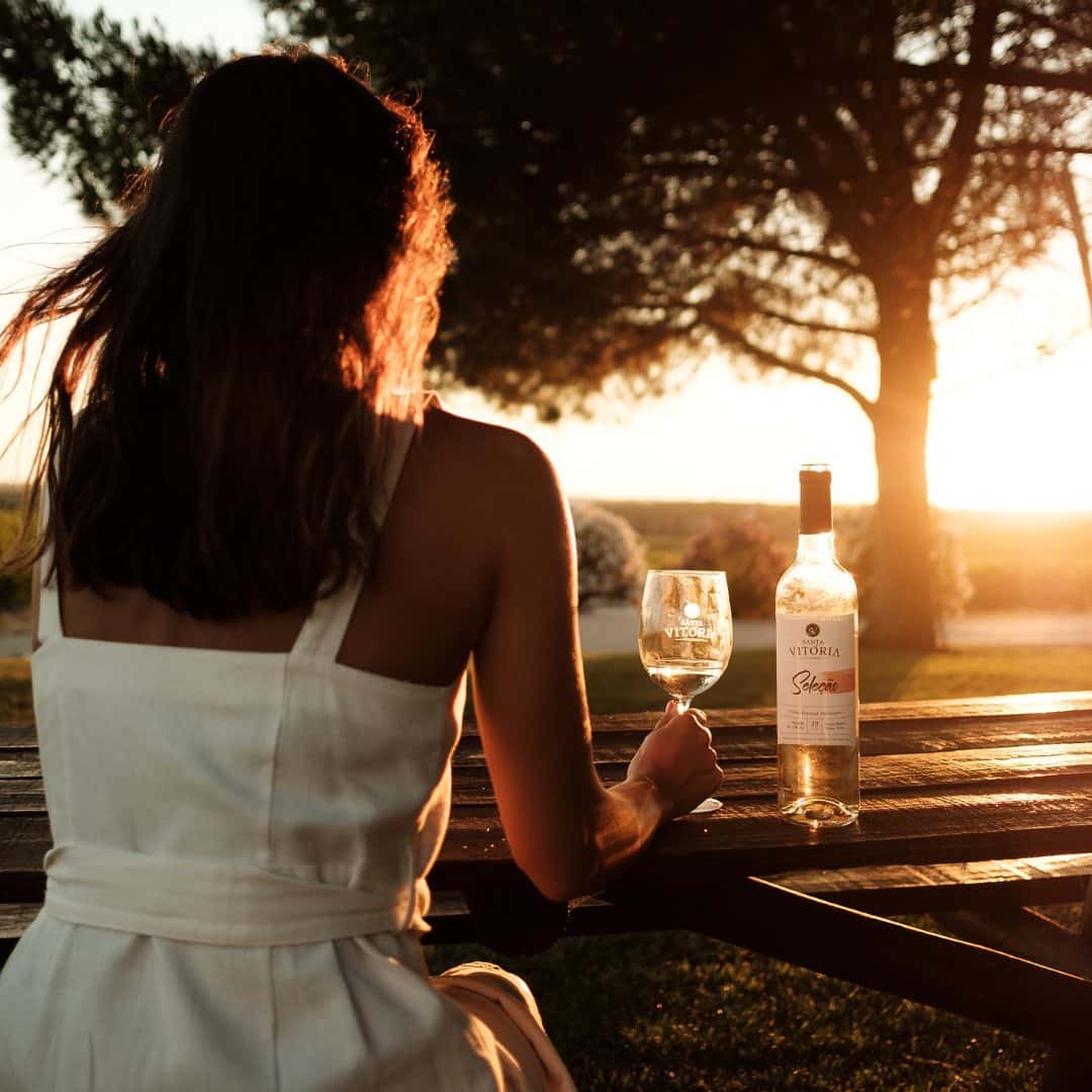 Dégustation et visite de vins rouges à Santa Vitória