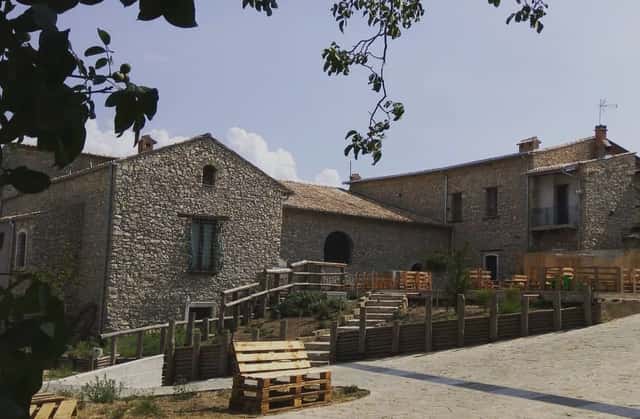 Tenute Casoli Società Agricola