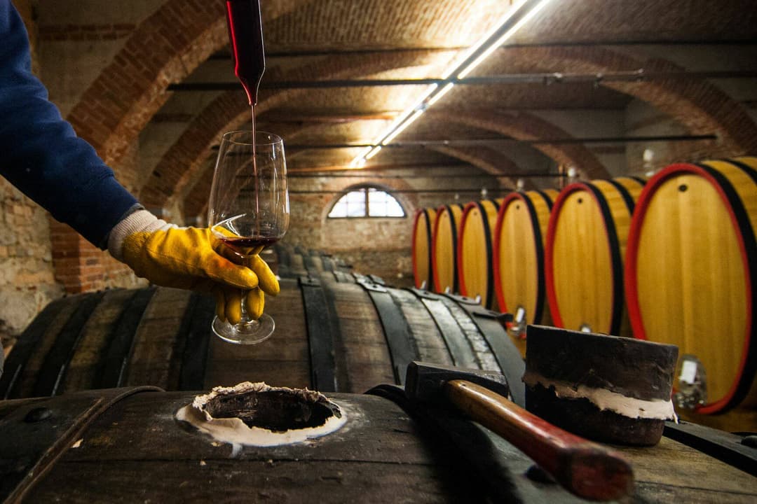 Vinprovning på Marchesi di Barolo