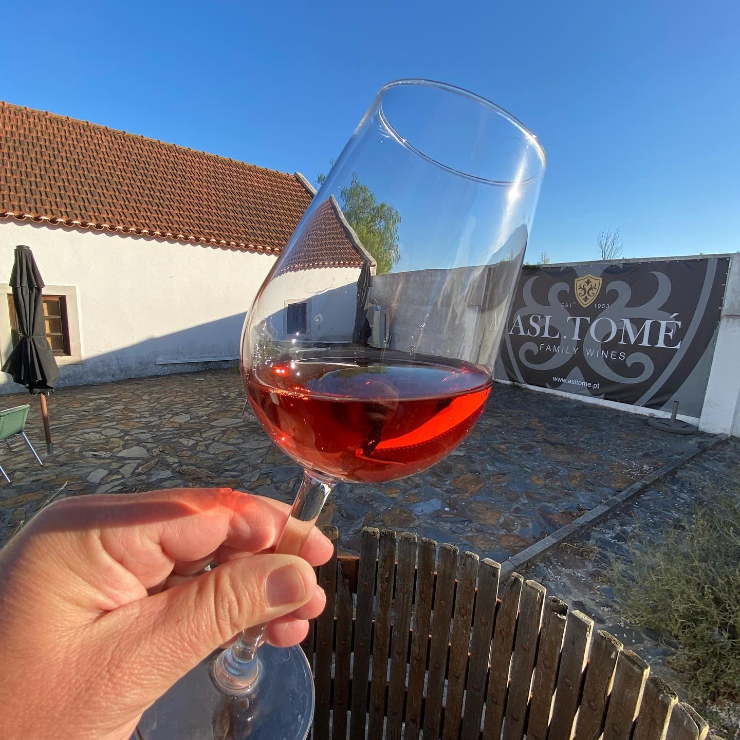 Visita y cata de vinos en ASL Tomé