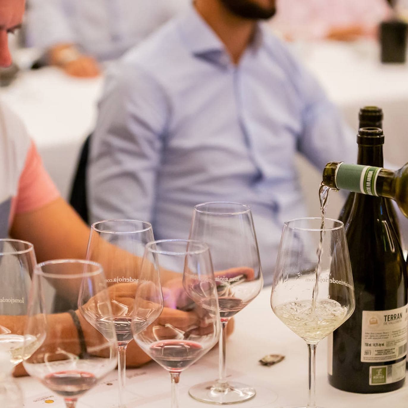 Wine Tasting Experience at Bodegas Vallobera