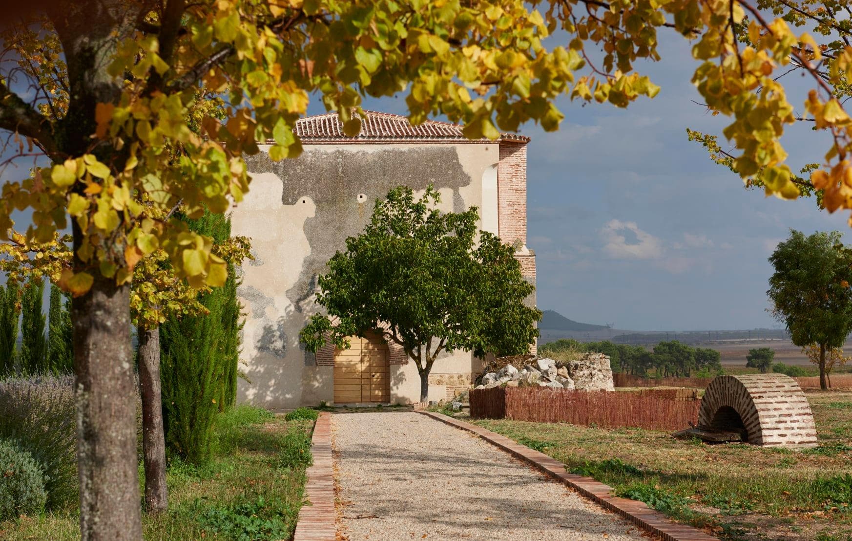 Bodegas Y Viñedos La Mejorada