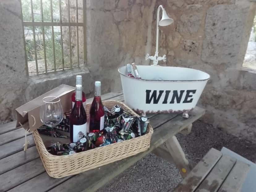 Castilla y León Vineyard Escape & Tasting