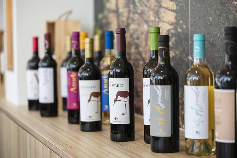 Alentejo Wine Adventure: Taste & Tradition