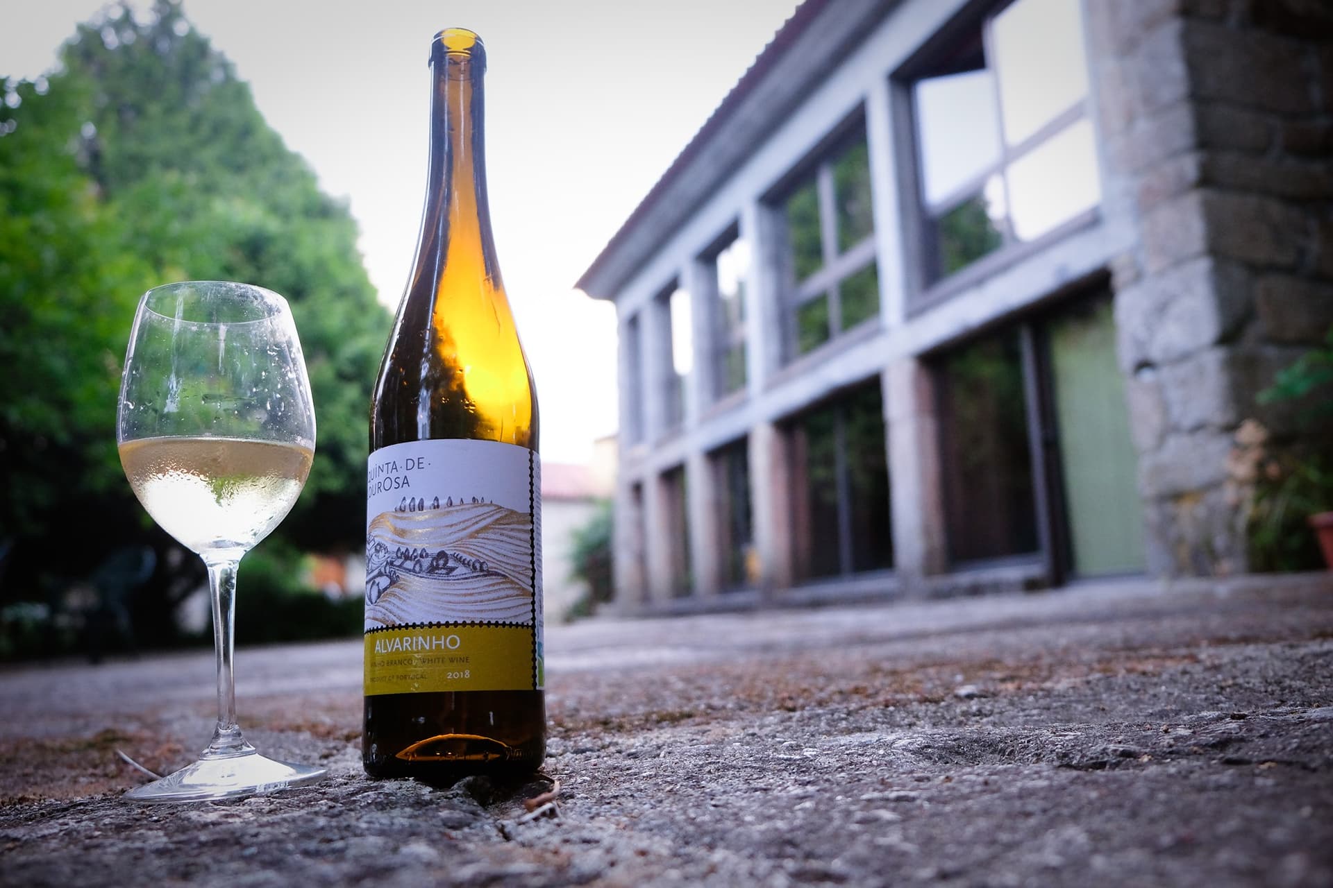 Quinta De Lourosa