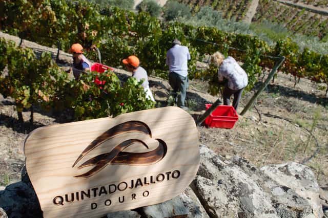 Quinta Do Jalloto