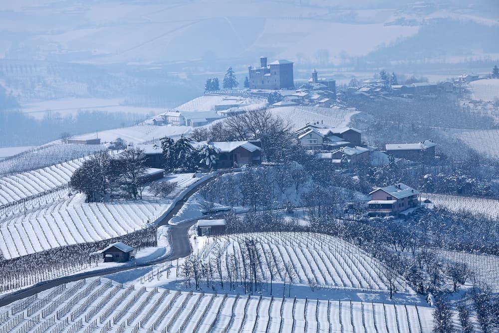 snowy_vineyards