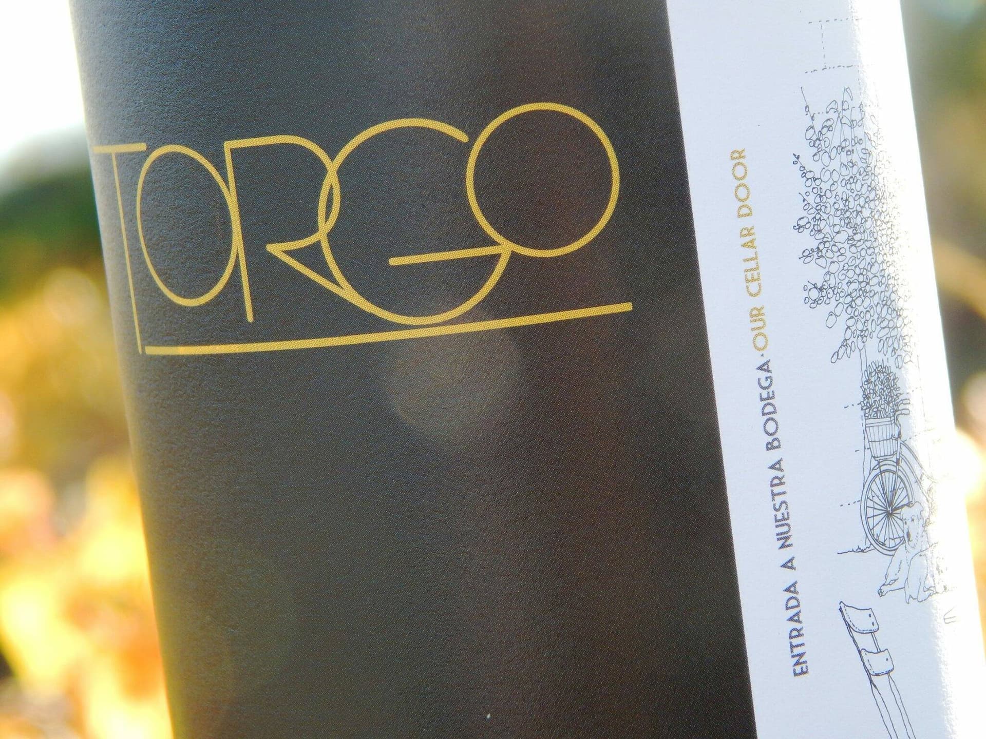 Bodega Torgo Foto 2