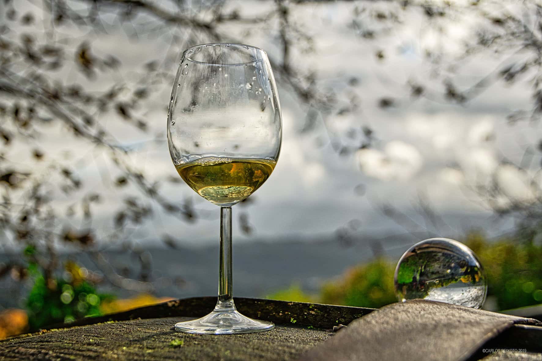 Weingutbesuch und Weinprobe in der Bodega Torgo