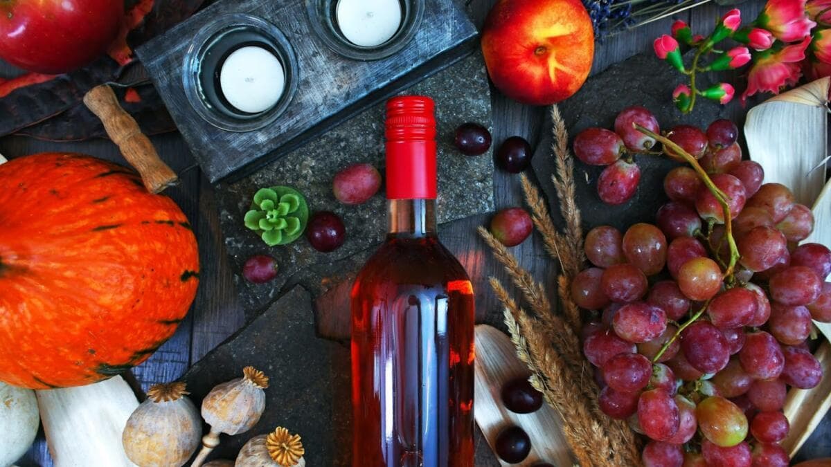 Degustazione di vini e tour a Tovuz Baltiya