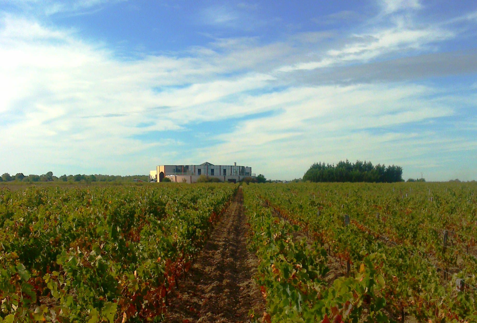 Loire Valley Organic Wine Tasting & Vineyard Tour