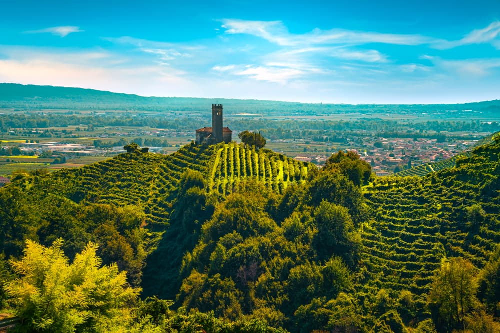 Prosecco Hills Veneto