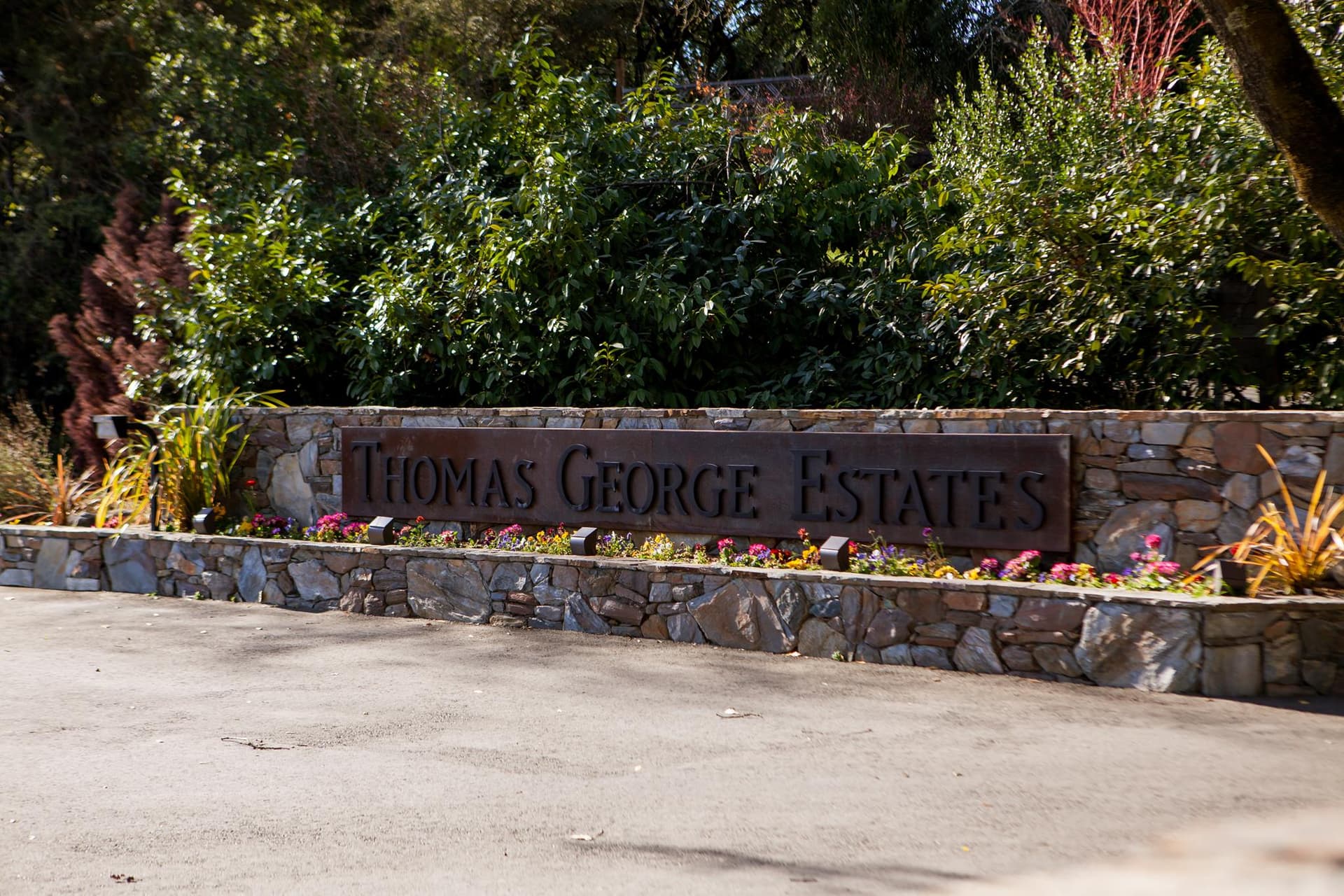 Boccia und Wein bei Thomas George Estates