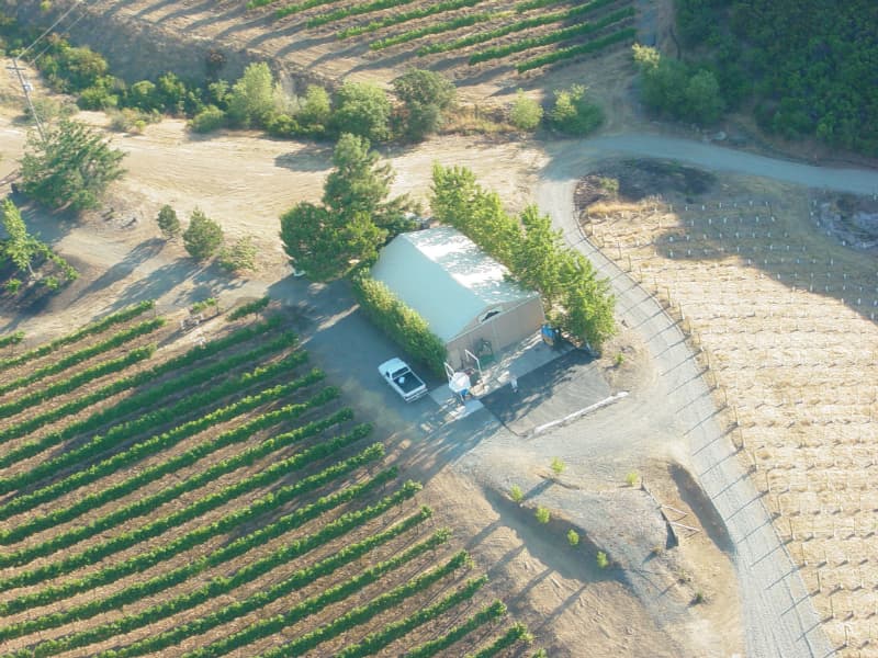 BobDog Wines Foto 2