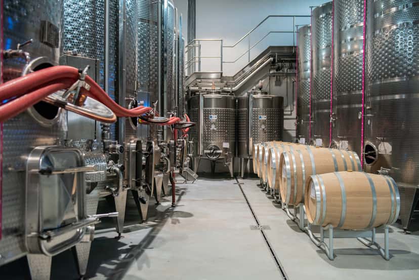 "Welcome to Montefalco" Tour and Tasting