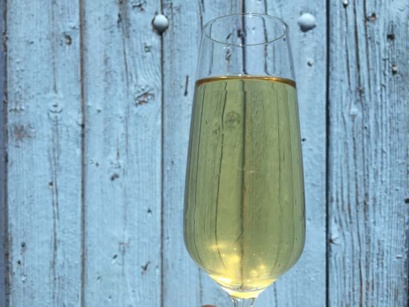 Organic and Biodynamic Wine Tasting