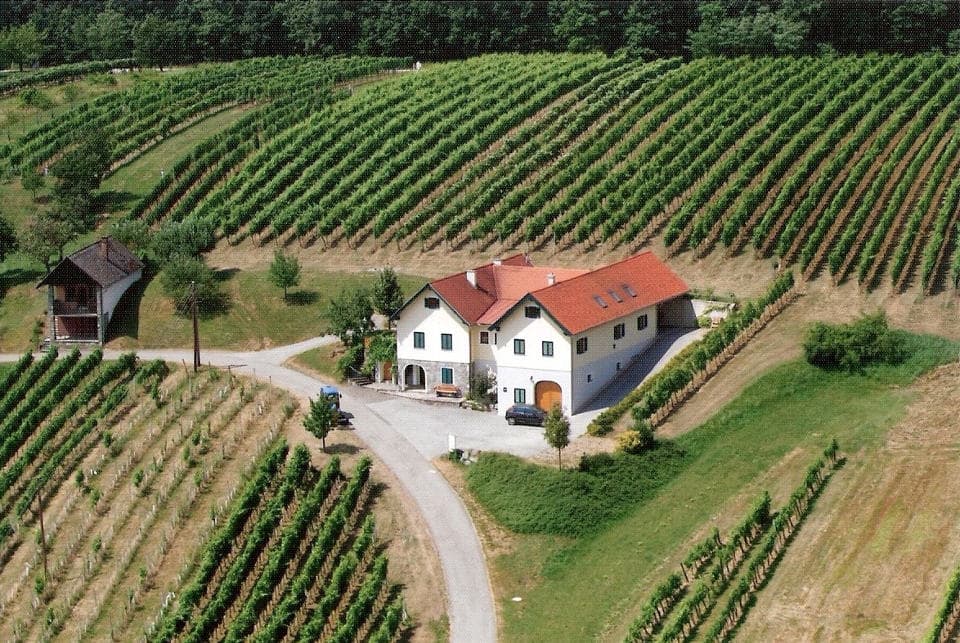 Cantina Weingut Grosz nella regione vinicola della Bassa Austria