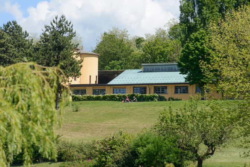 Weintour und leichtes Mittagessen in der Azienda Agricola Biodinamica La Raia