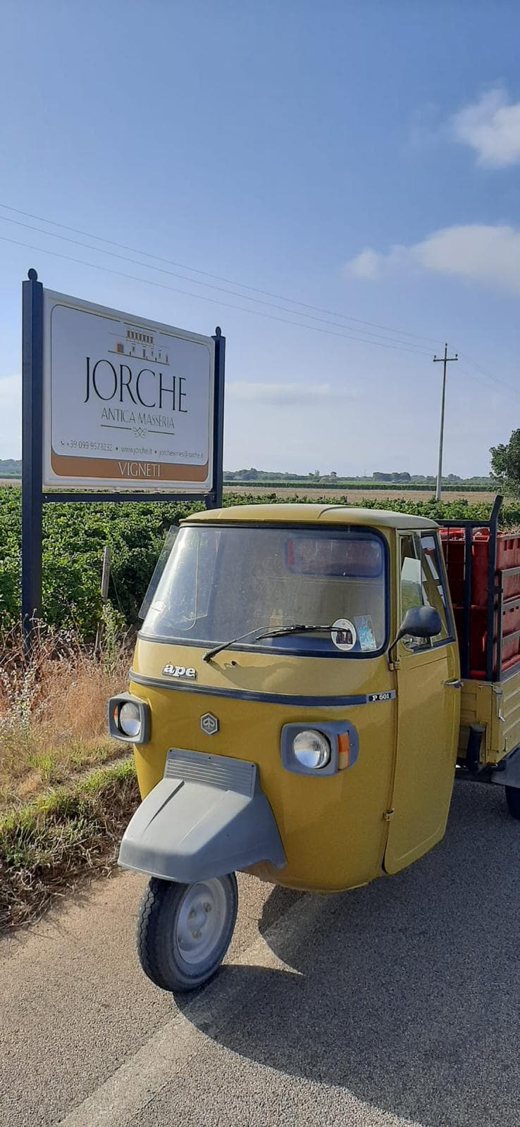 Puglia's Primitivo & Olive Oil Wine Journey at Jorche