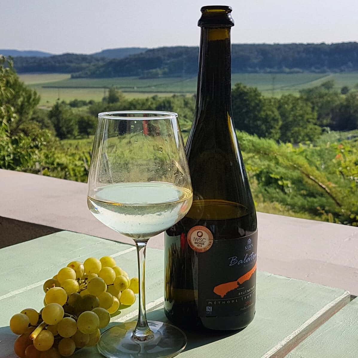 Cata de vinos espumosos en la terraza SparkArt de Kern Winery