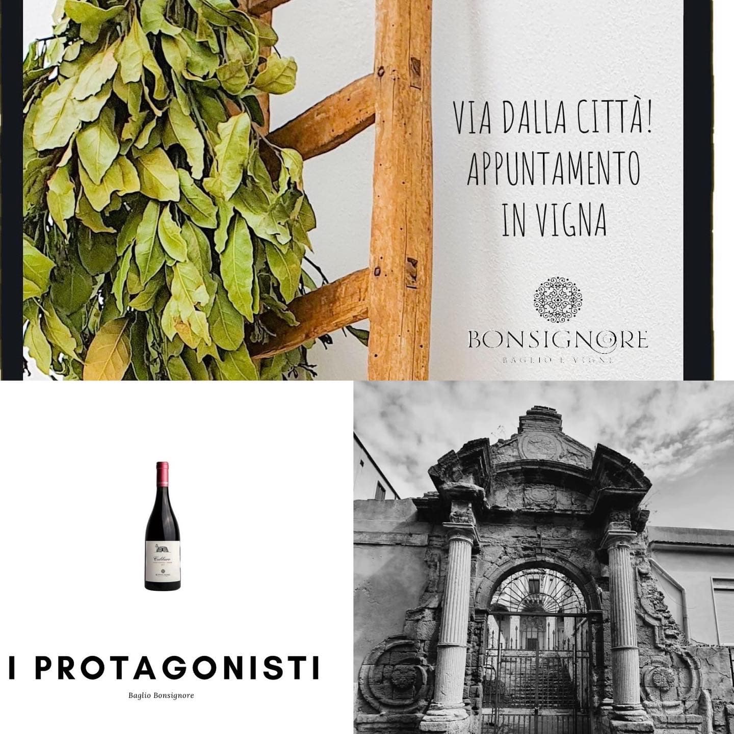 Sicily Baroque & Wine Tour at Bonsignore