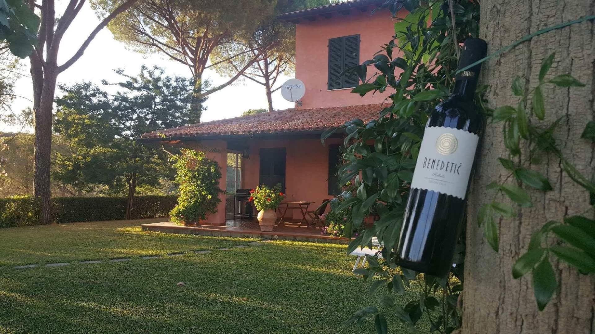 Degustação de vinhos clássicos e tour com lanches na vinícola…