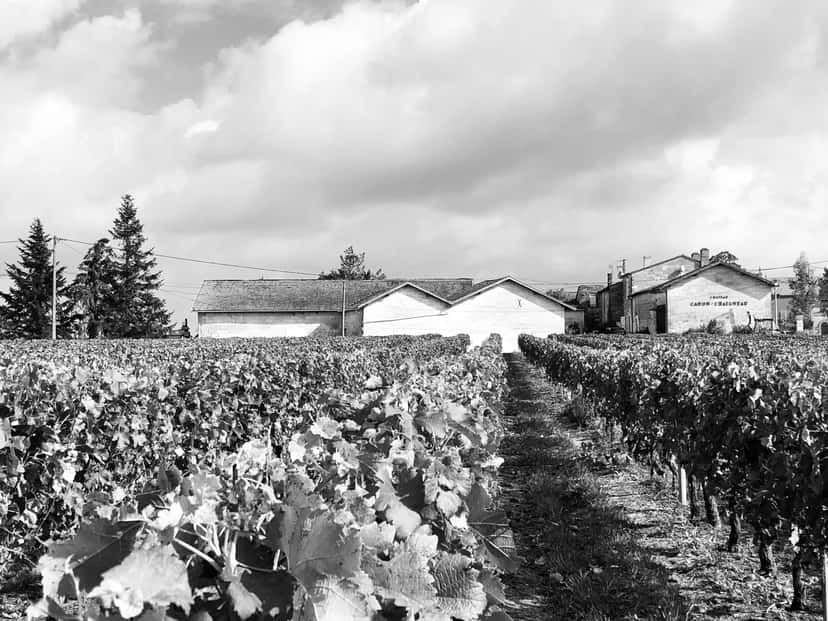 Chateau Canon Chaigneau