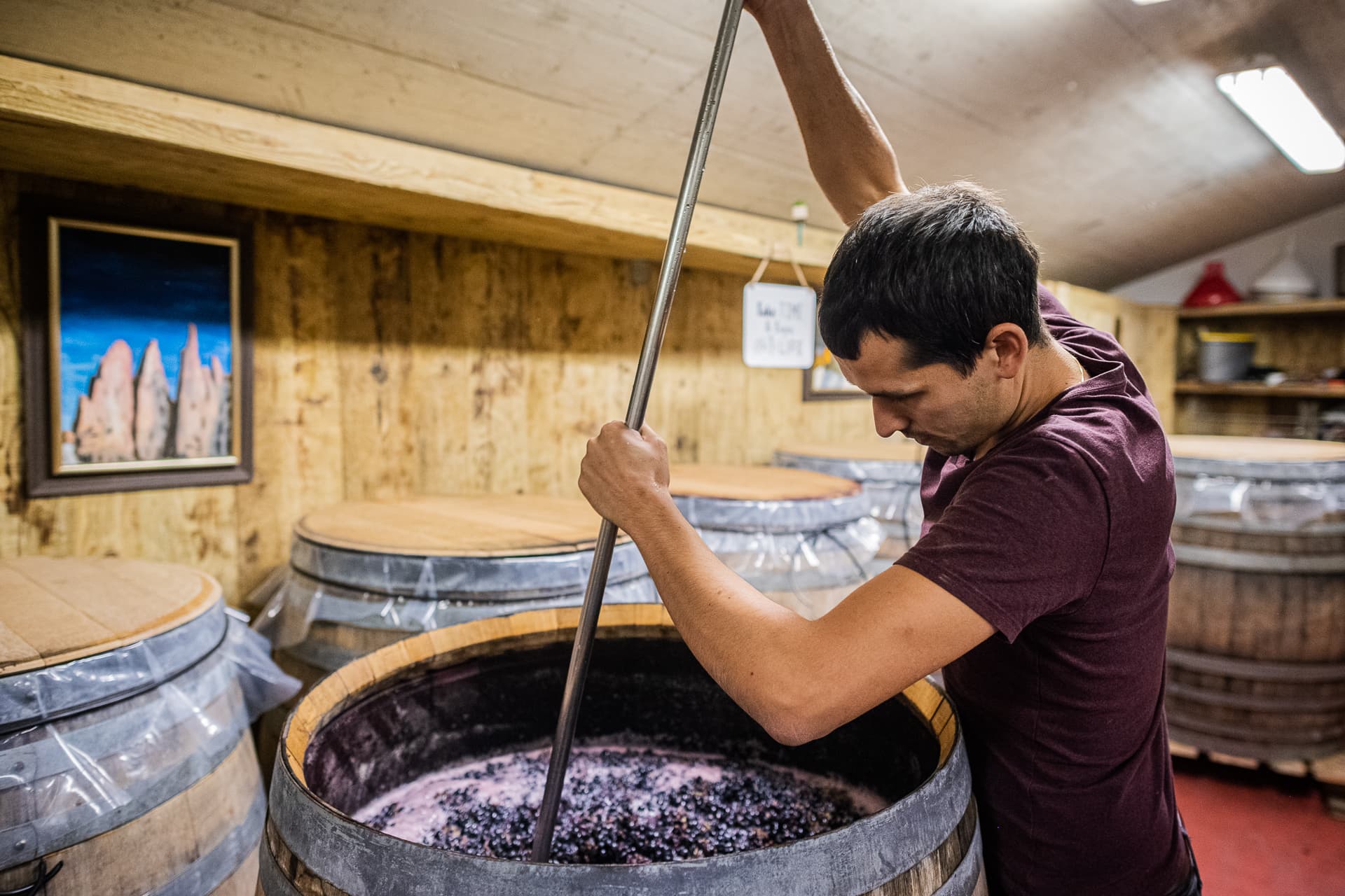 Vingårdsbesök & vinprovning | Heiner. Vintillverkare
