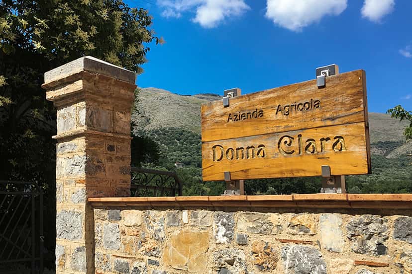 Bläddra bland alla vingårdar i Cilento