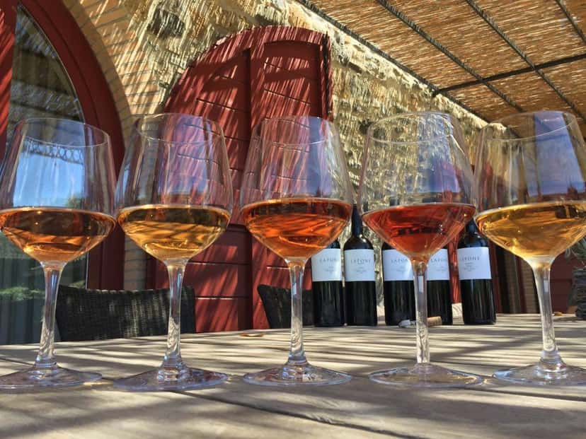Behind the Label - Degustação de vinhos e tour