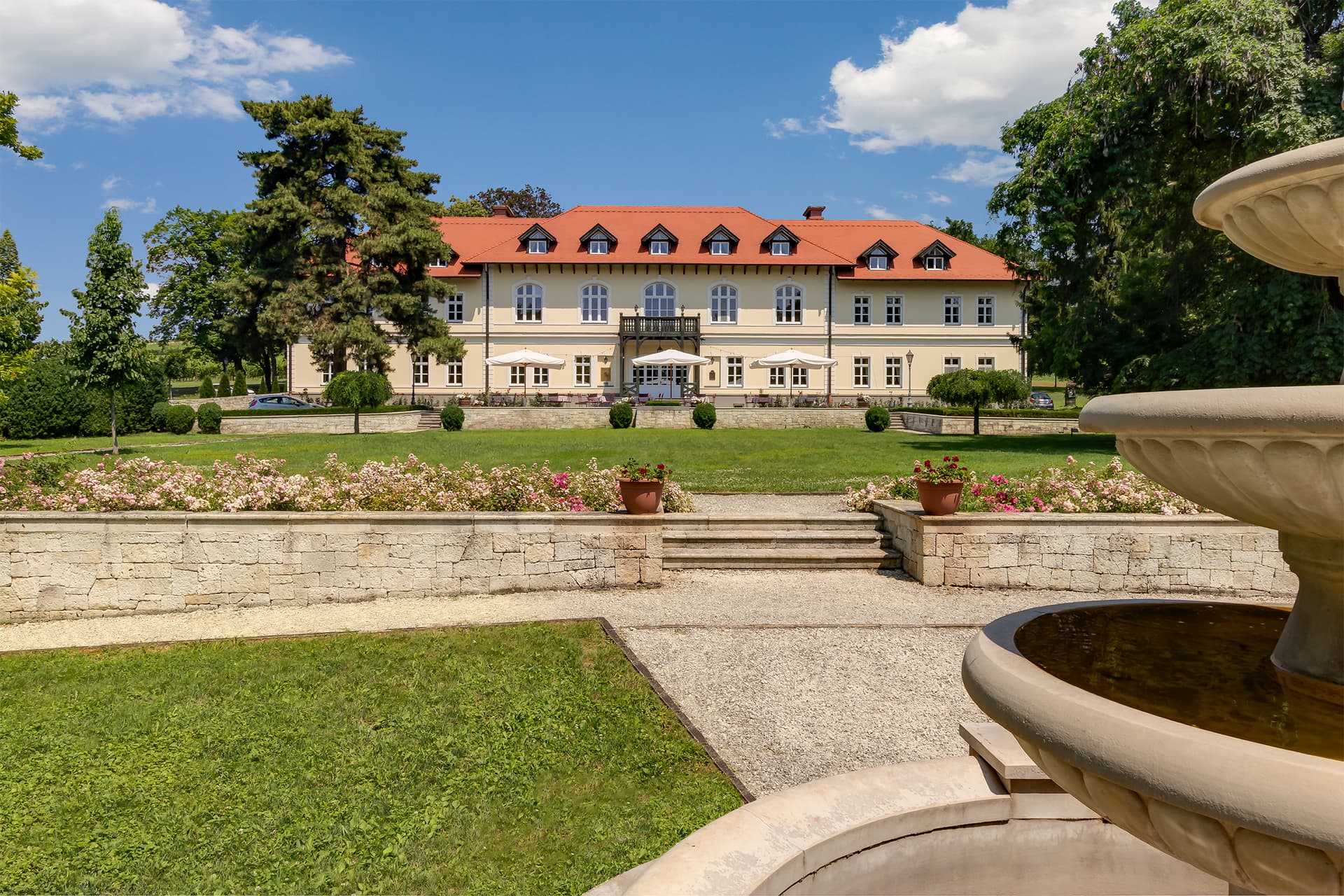 Dégustations de vins haut de gamme au domaine viticole Gróf Degenfeld
