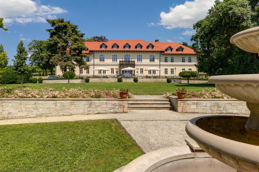 Degustazioni di vini premium presso la tenuta vinicola Gróf Degenfeld