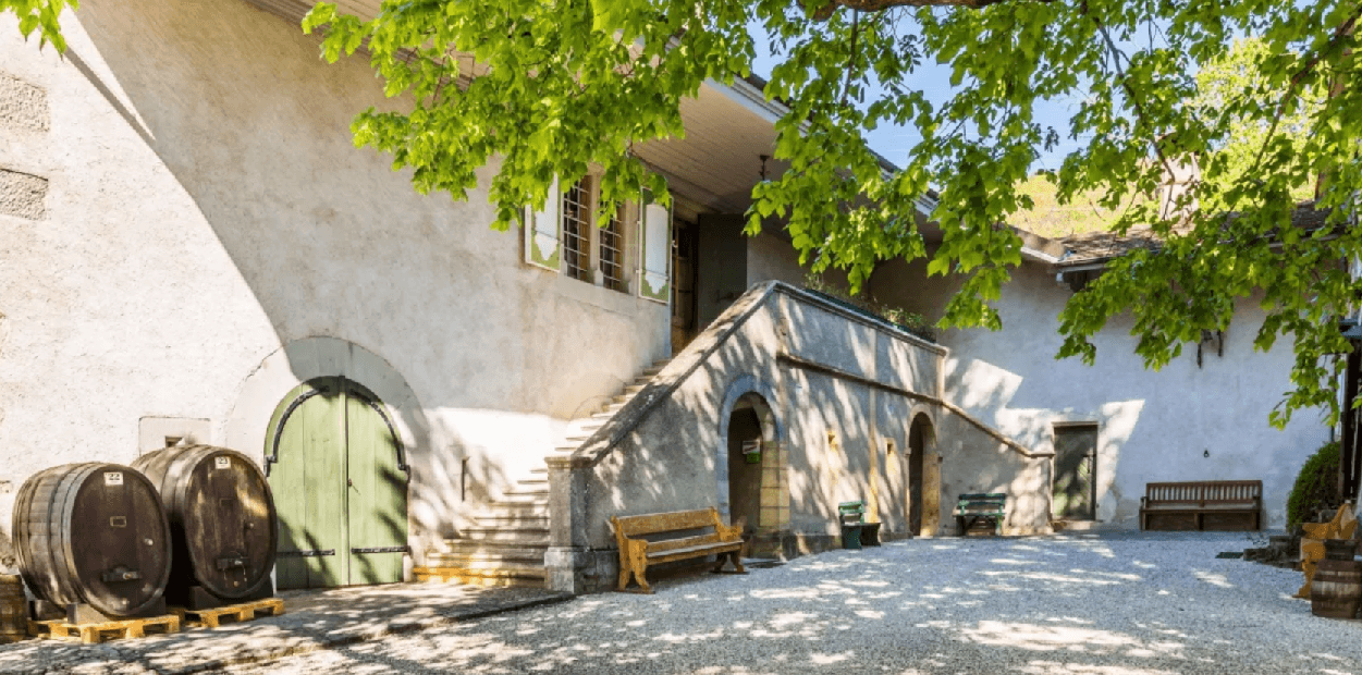 Cata de vinos de Fórmula 3 en el Château de Luins