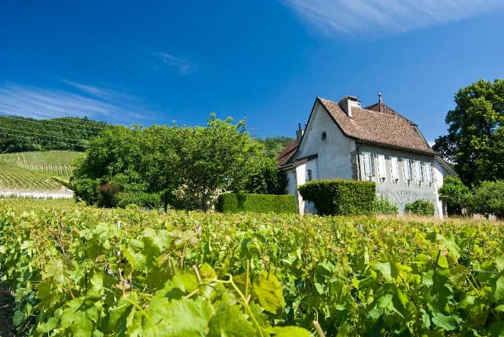 Fórmula 2 | Cata de vinos en el Château de Luins