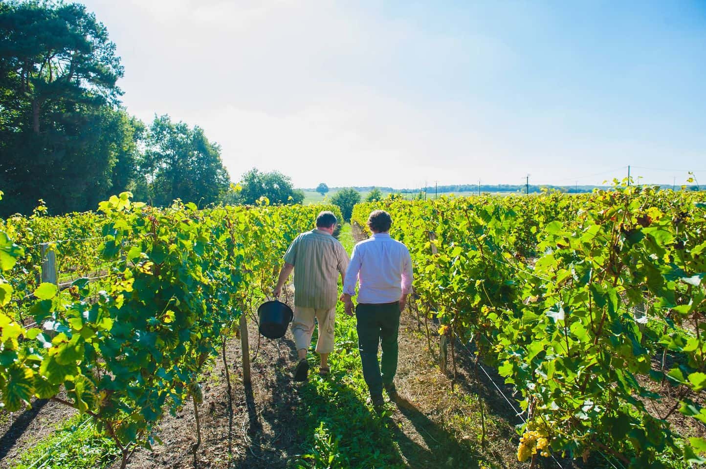 Cata de vinos en el Château du Petit Thouars