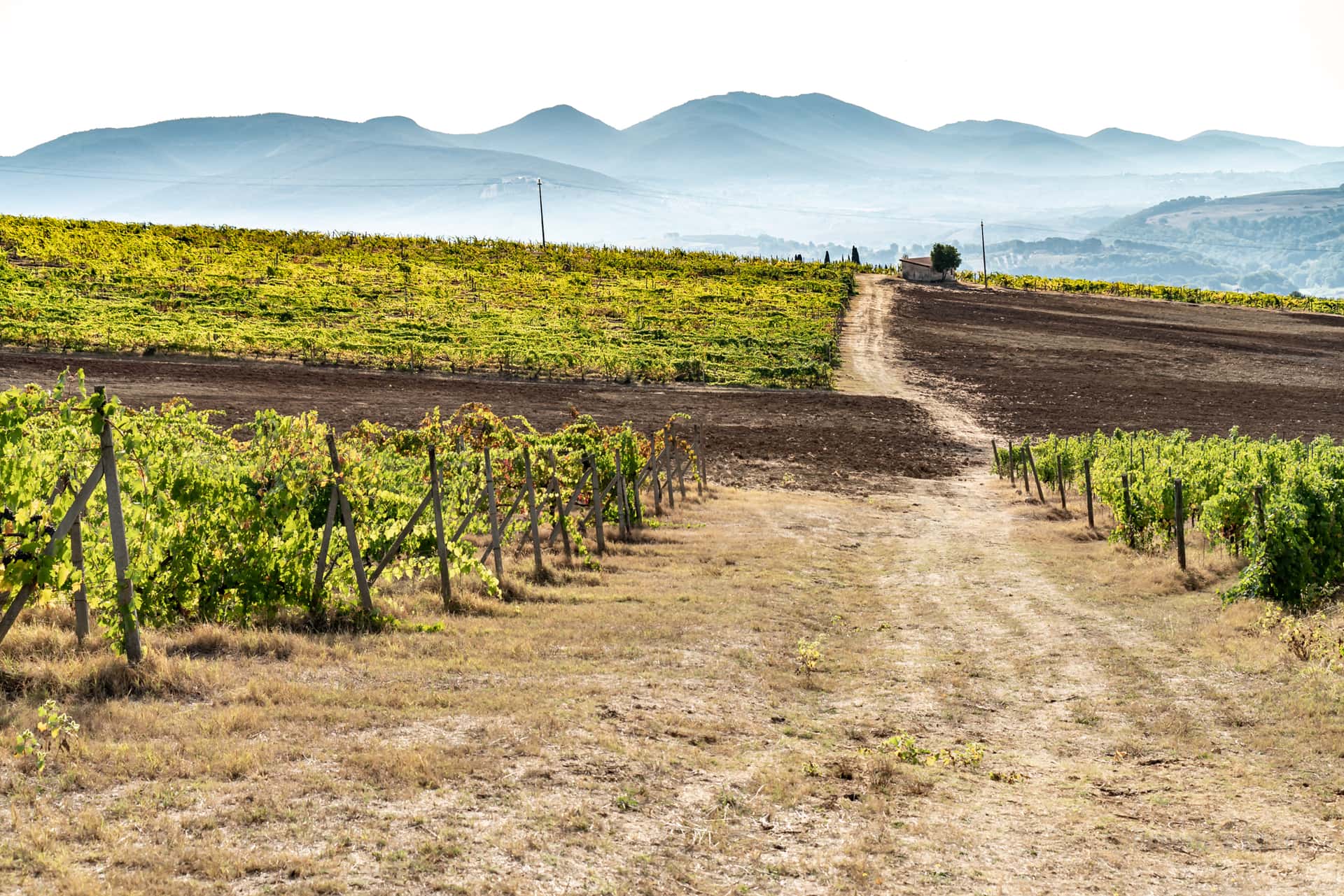 Visita e degustação de vinhos no Castello di Corbara