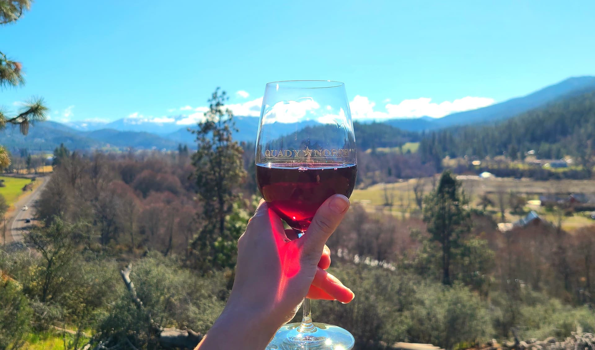 Degustazione di vini presso l'azienda vinicola Quady North
