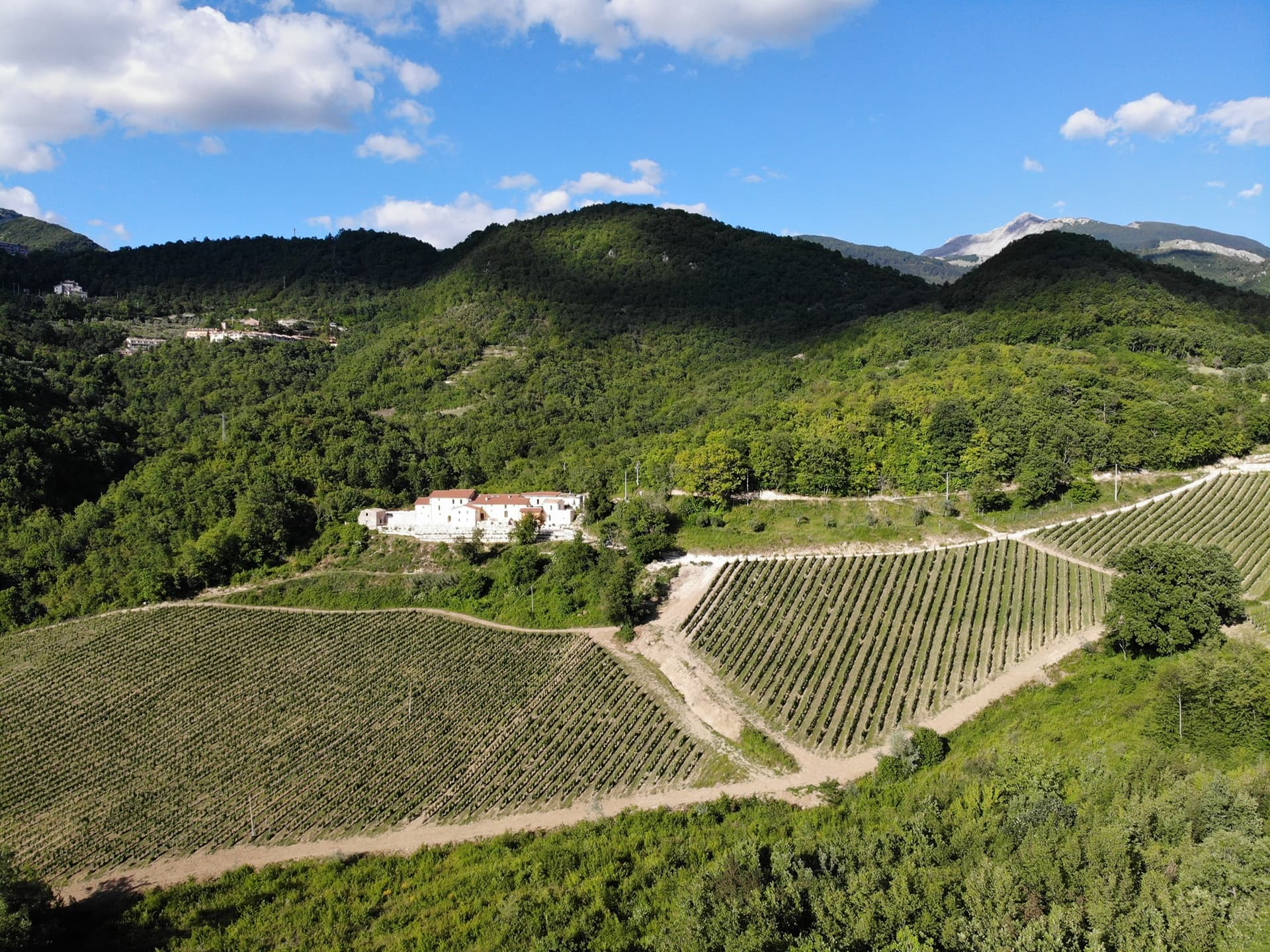 Cantina I Ciacca photo 3