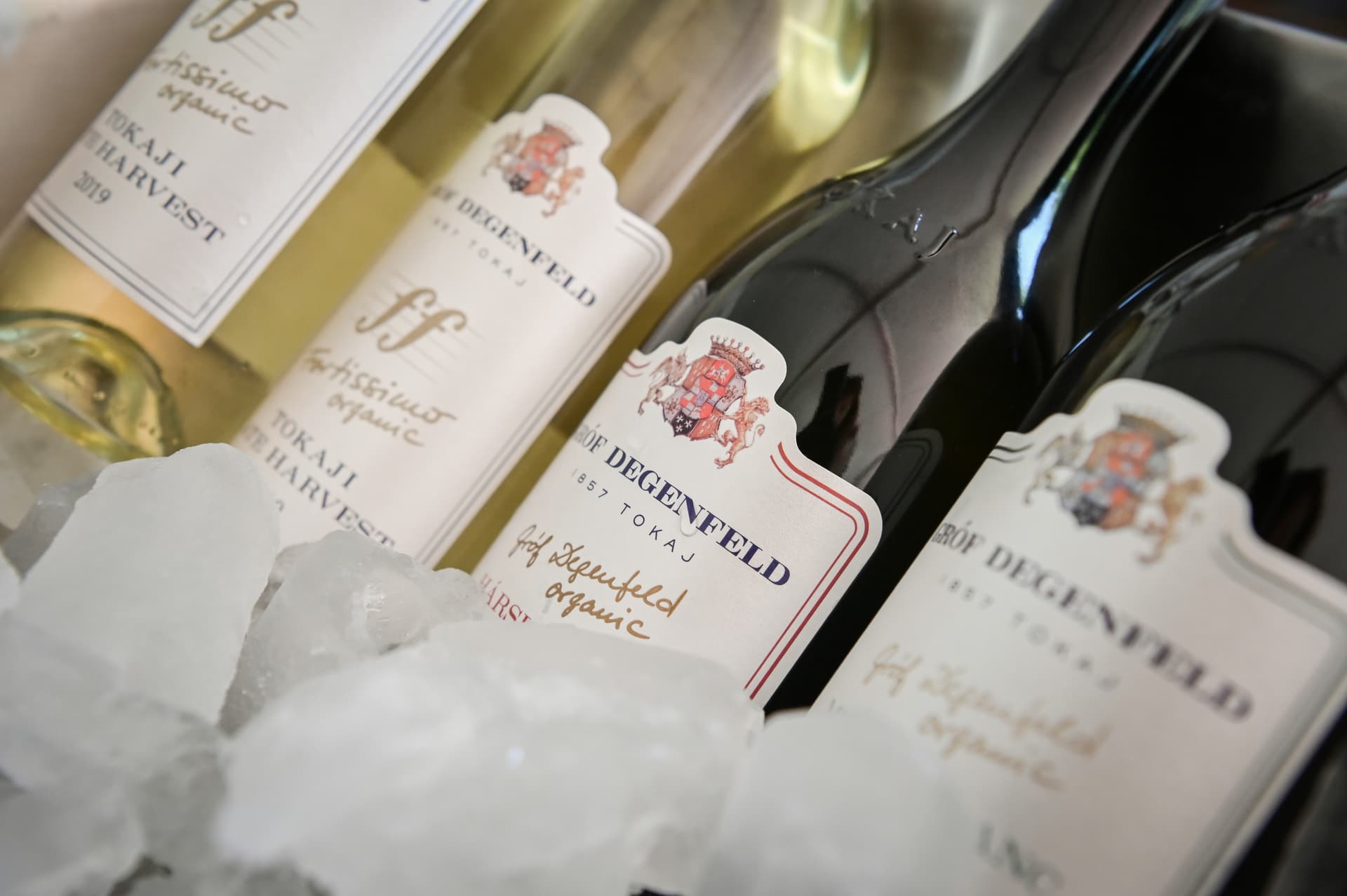 Dégustation de vins au domaine viticole Grof Degenfeld - Forfait I. DOMAINE