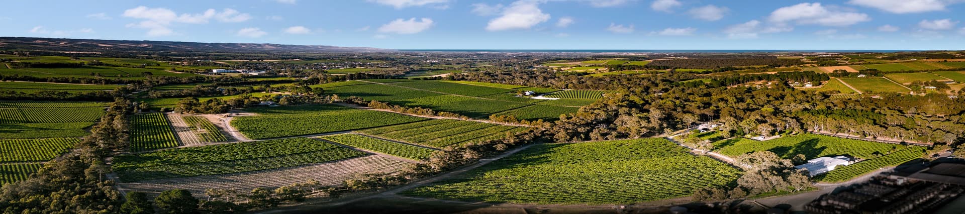 Woodstock Wine Estate