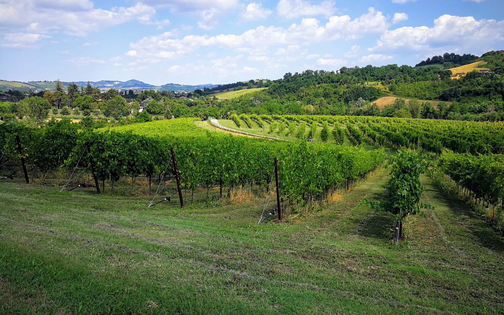 Visit, wine tasting and local food at Tenuta La Riva