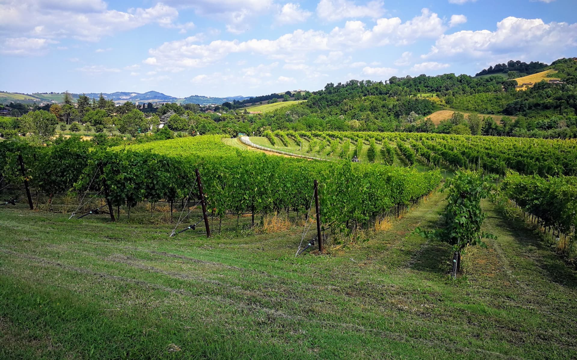 Tenuta La Riva