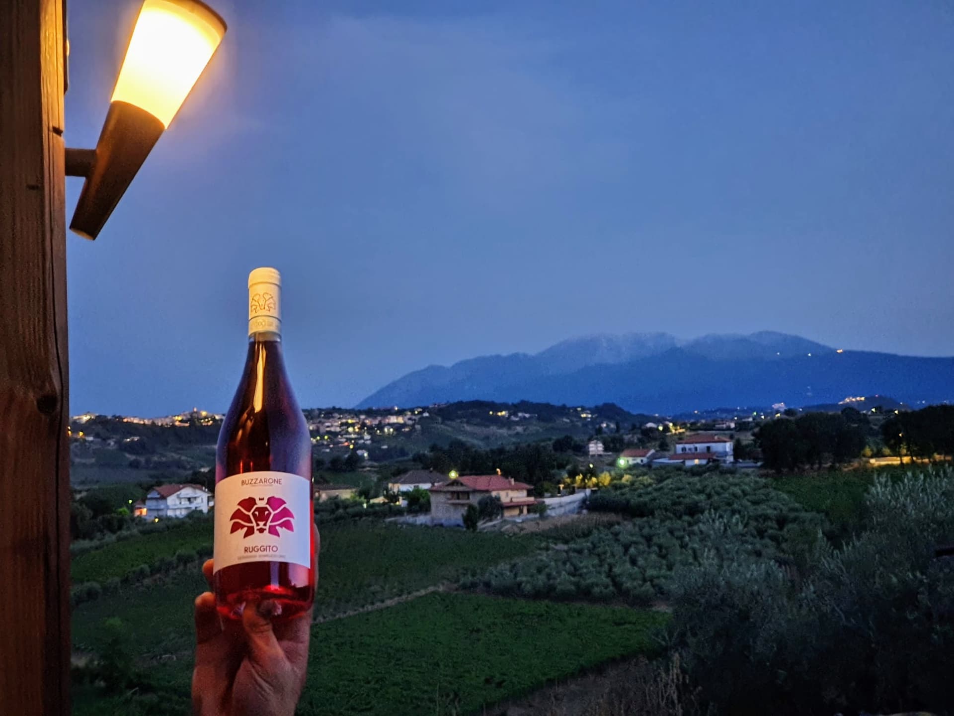 BUZZARONE_vignaiolo in Castelferrato foto 2