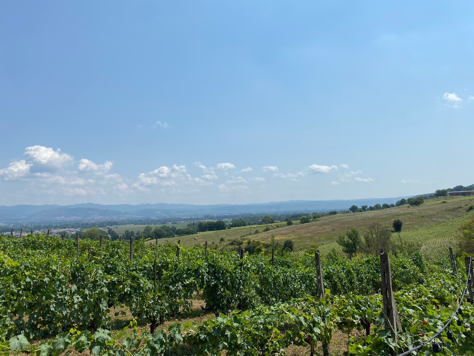 Cantina del Colonna