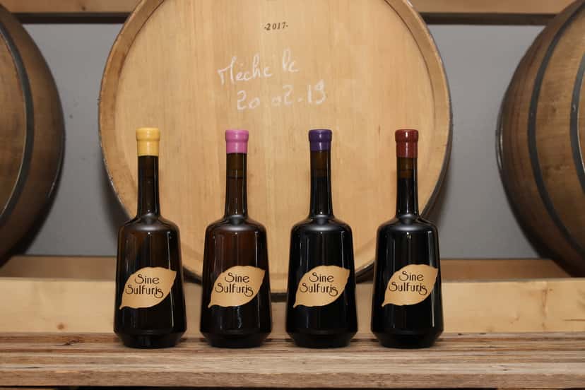 Loire Valley Winemaking & Tasting at Domaine des Pierrettes