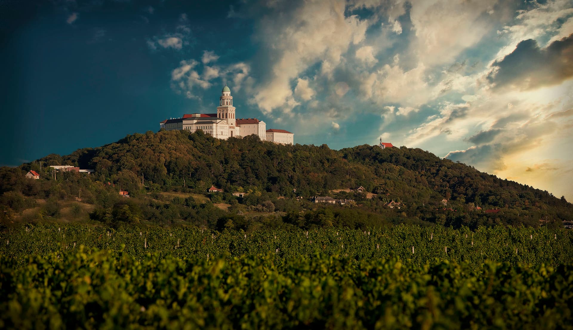 Pannonhalma Archabbey Winery foto 1