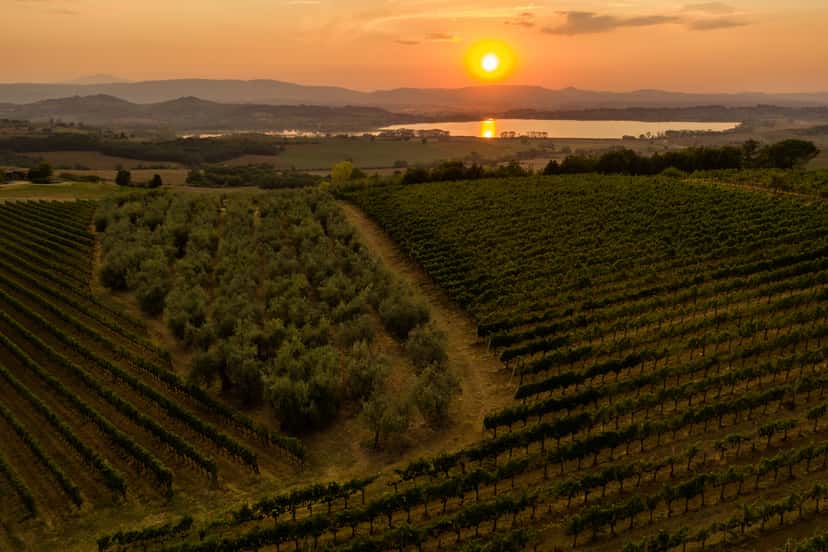 Azienda Agricola Madrevite